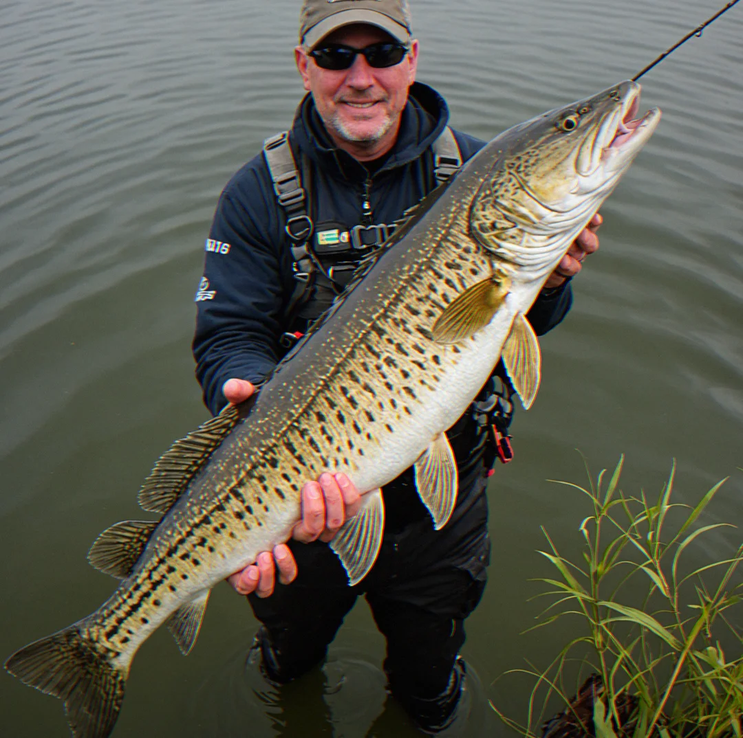 A 38-inch pike pulled from a weed edge at 22 feet deep, GPS marked, water sitting at 61 degrees